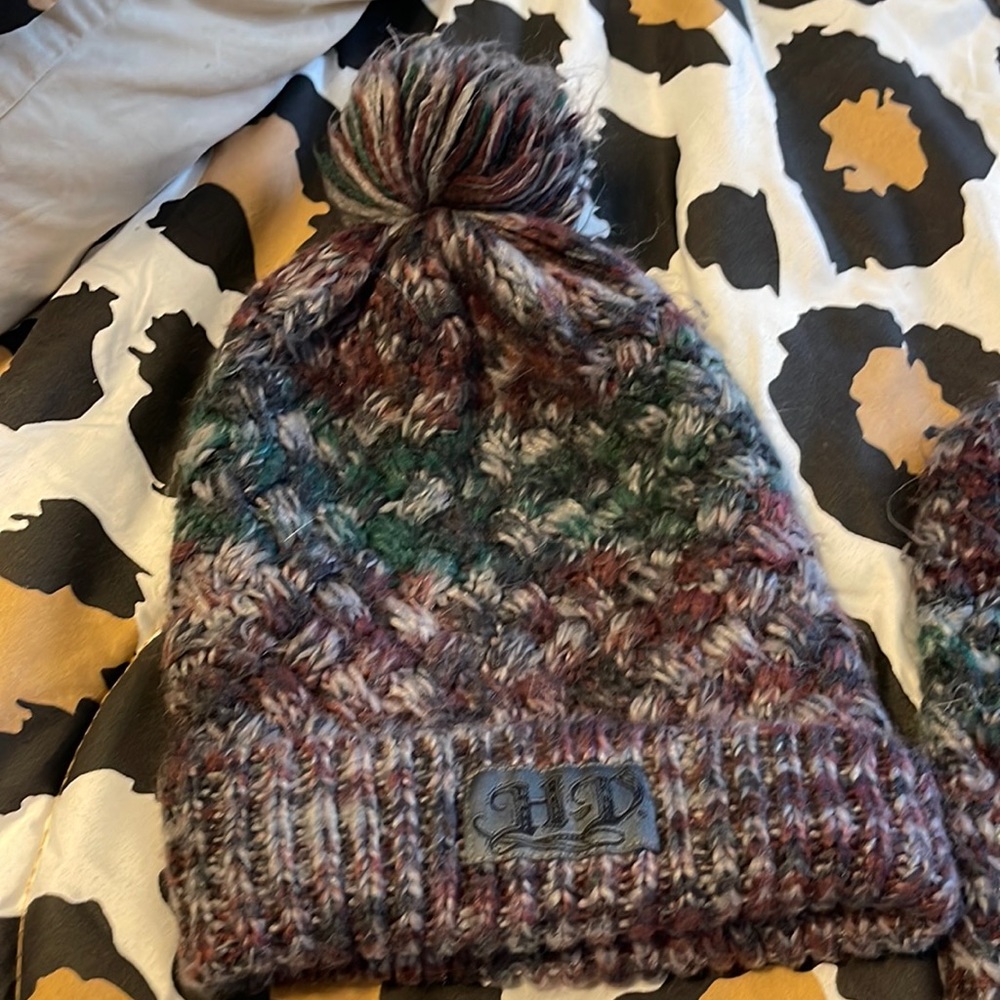 Harley Davidson mittens and hat